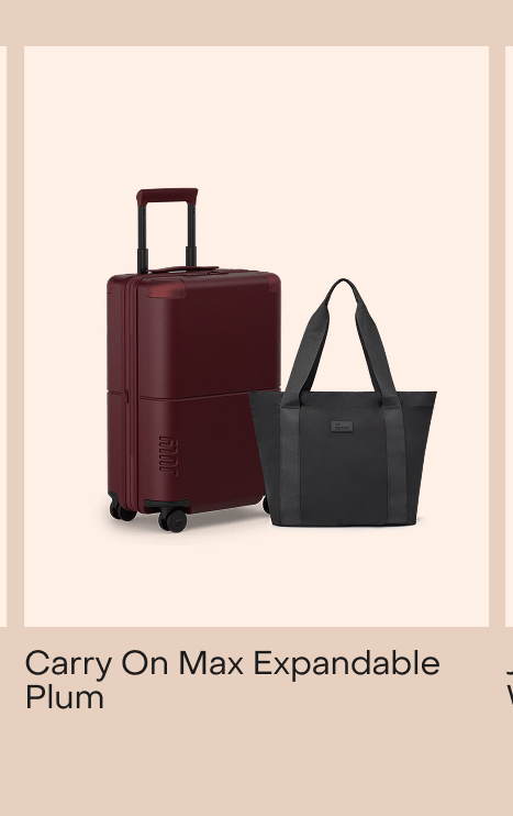 Carry On with CaseSafe Plum