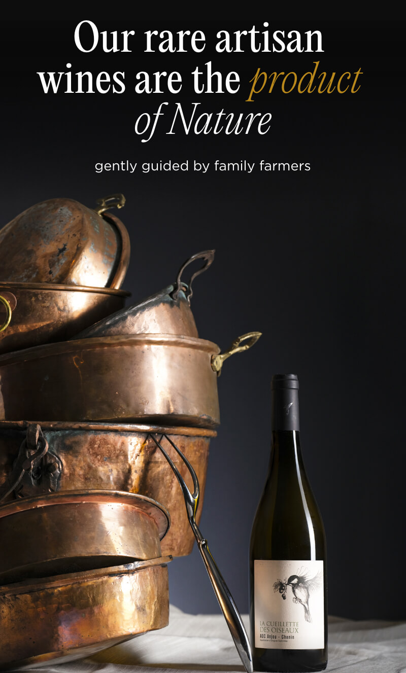 Thanksgiving Collection