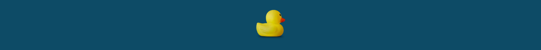 Footer Logo