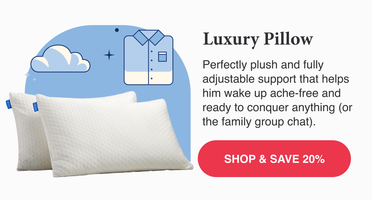 Luxury Pillow