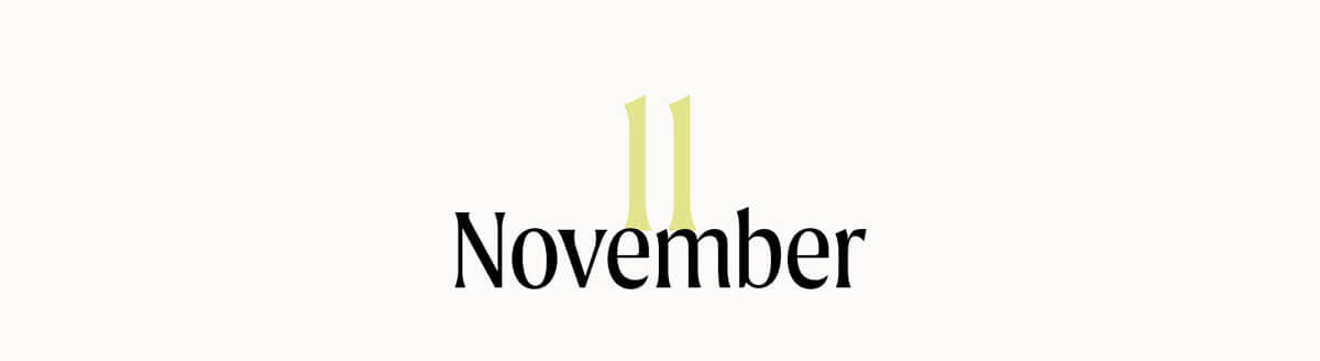 11 November