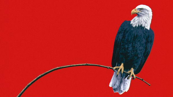 An illustration of an eagle perched on a thin bending branch.