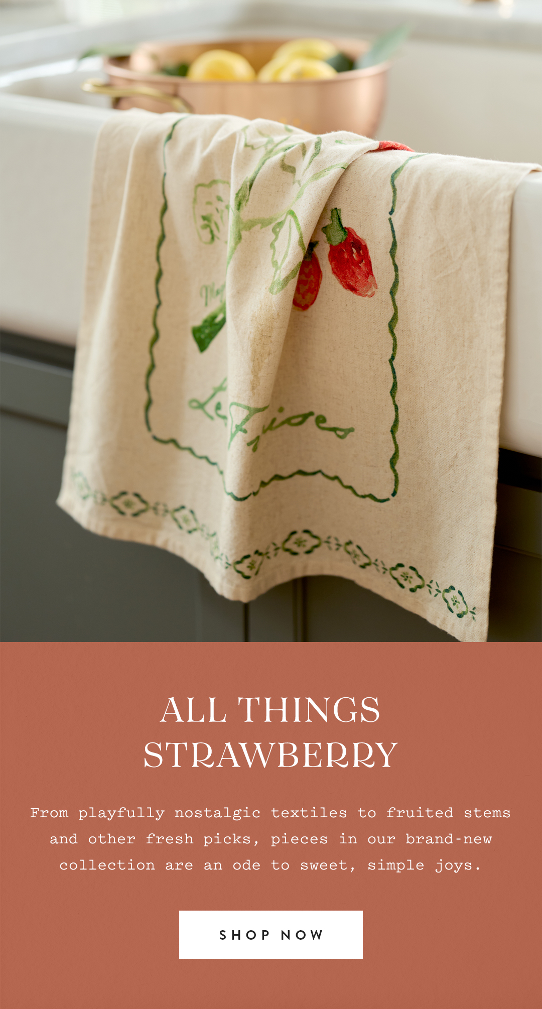Shop All Things Strawberry
