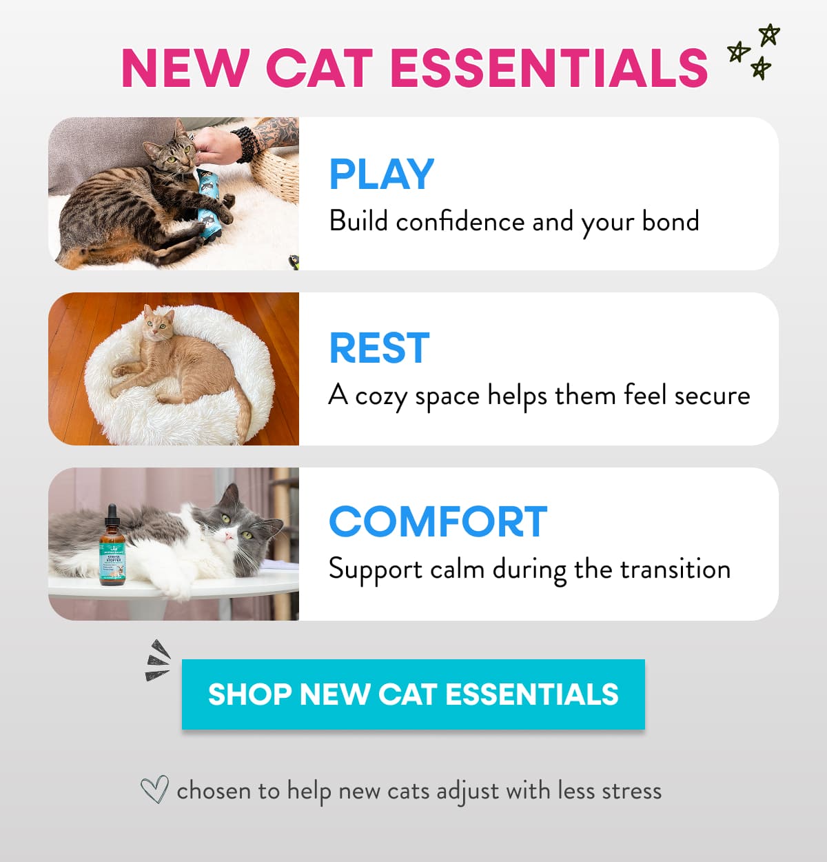 new cat essentials