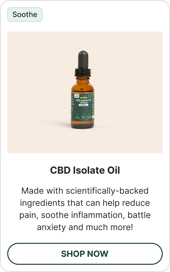 Shop CBD Isolate Oil