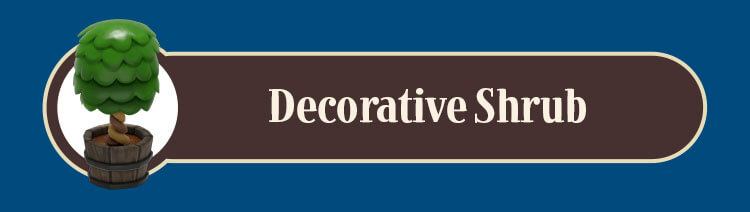 Decorative Shrub