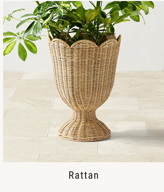 Rattan