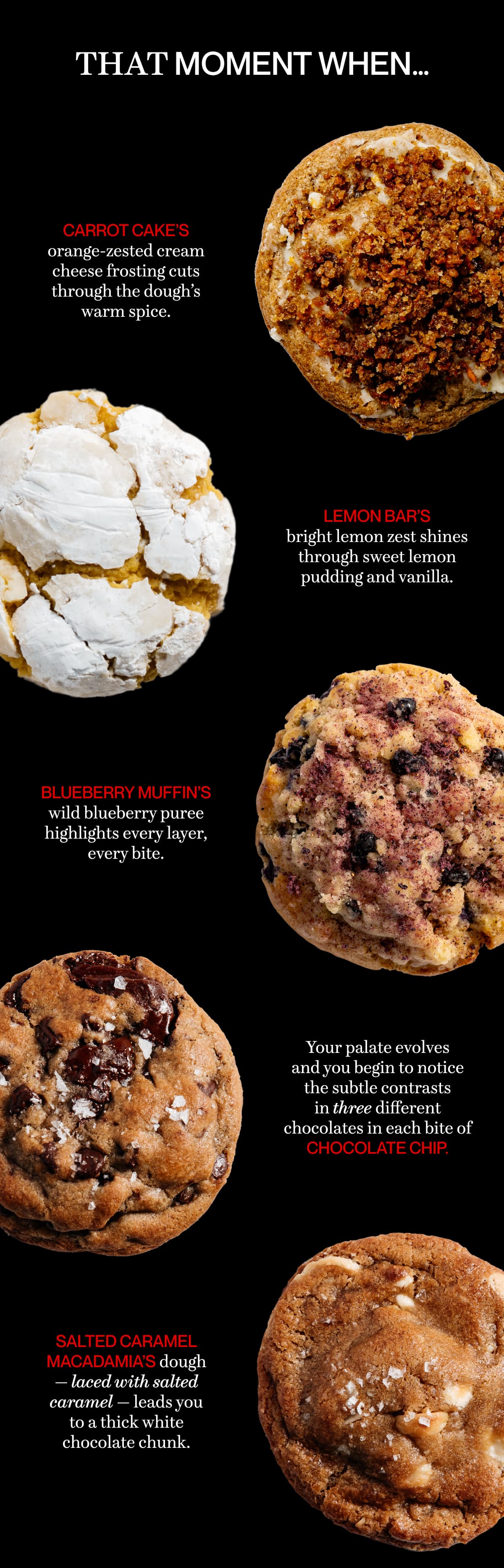 That moment when… Carrot Cake’s orange-zested cream cheese frosting cuts through the dough’s warm spice. | lemon bar’s bright lemon zest shines through sweet lemon pudding and vanilla. | blueberry muffin’s wild blueberry puree highlights every layer, every bite. | Your palate evolves and you begin to notice the subtle contrasts in three different chocolates in each bite of chocolate chip. | Salted Caramel Macadamia’s dough — laced with salted caramel — leads you to a thick white chocolate chunk.