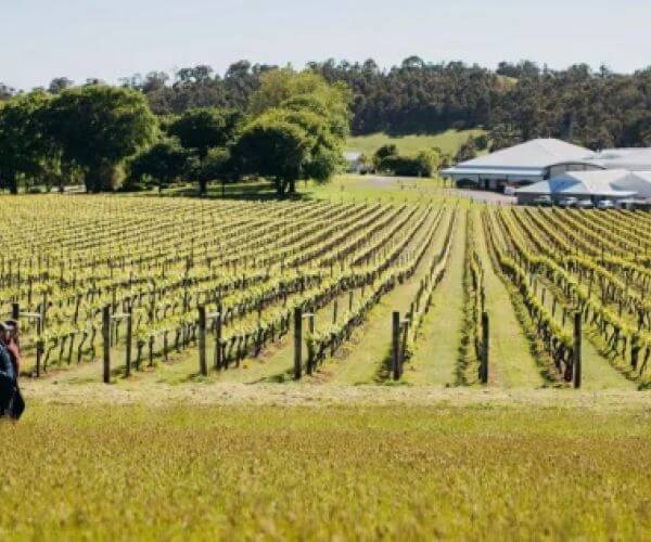 10 of the Best Cellar Doors to Visit in Tasmania