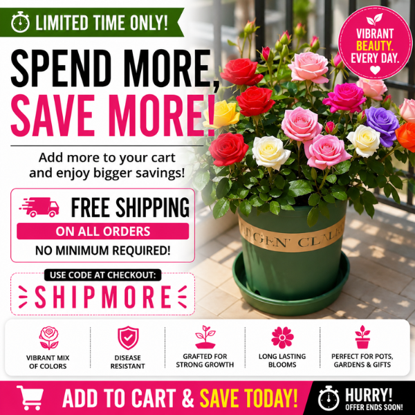 The Mid-Year Markdowns Event! 15% OFF using CODE: MIDYEAR15