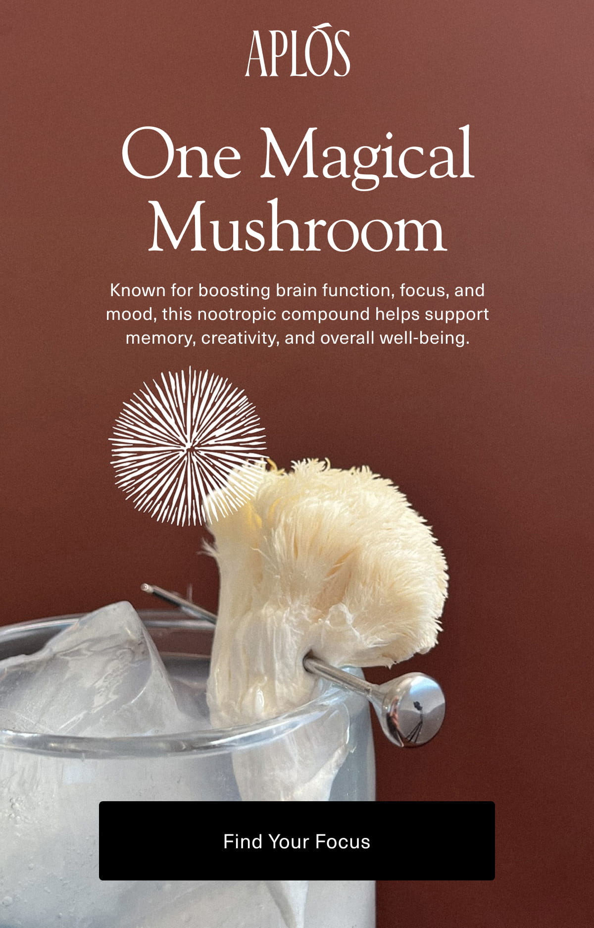 Aplós | One Magical Mushroom | Known for boosting brain function, focus, and mood, this nootropic compound helps support memory, creativity, and overall well-being.  [Find Your Focus]