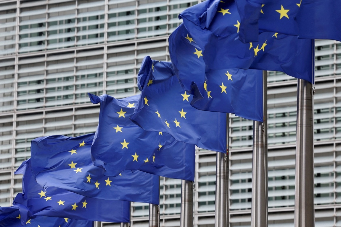 EU flags