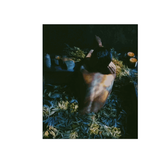 The Sensual Garden