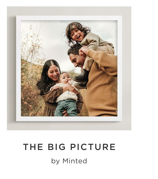 The Big Picture