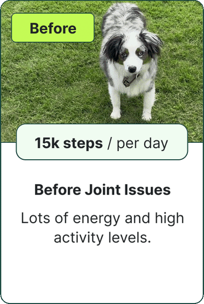 Before Joint Issues