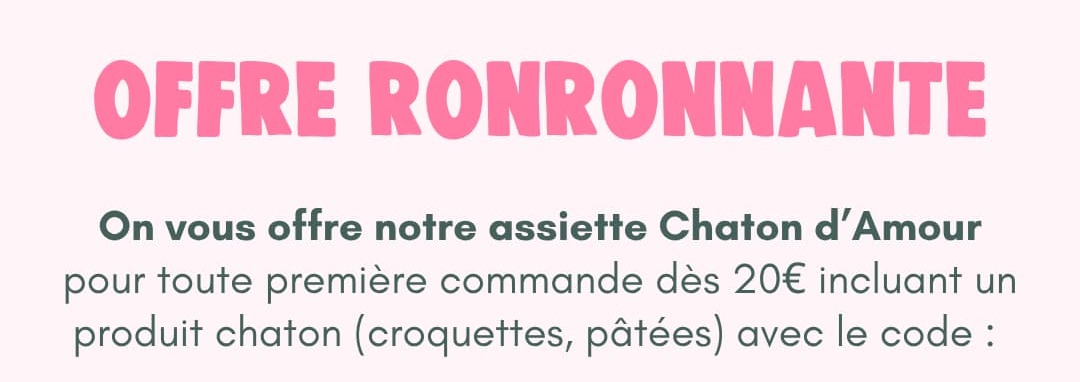 Une assiette chaton offerte