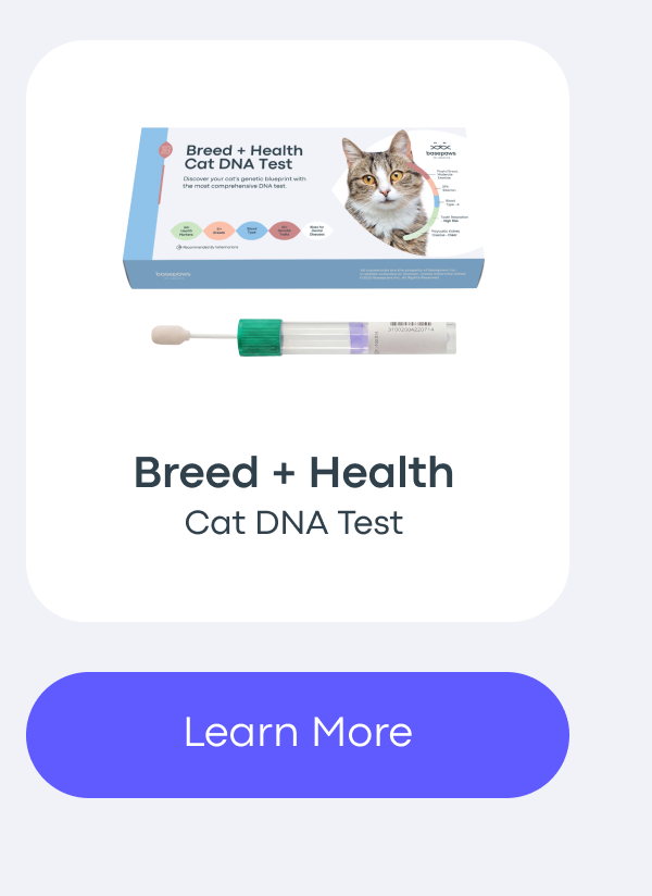 Learn More - Cat