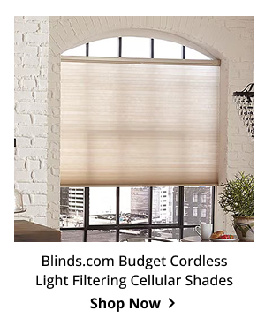 Blinds.com Budget Cordless Light Filtering Cellular Shades | Shop Now >