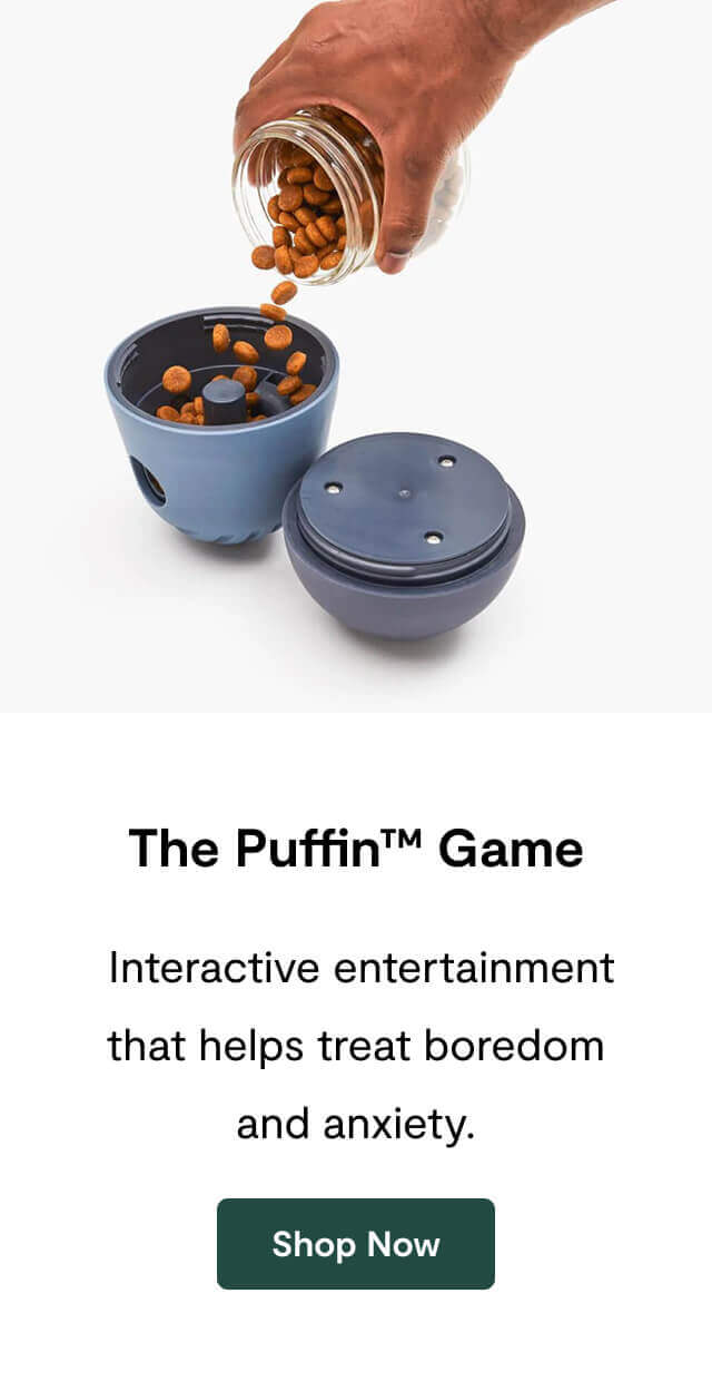 The Puffin™ Game