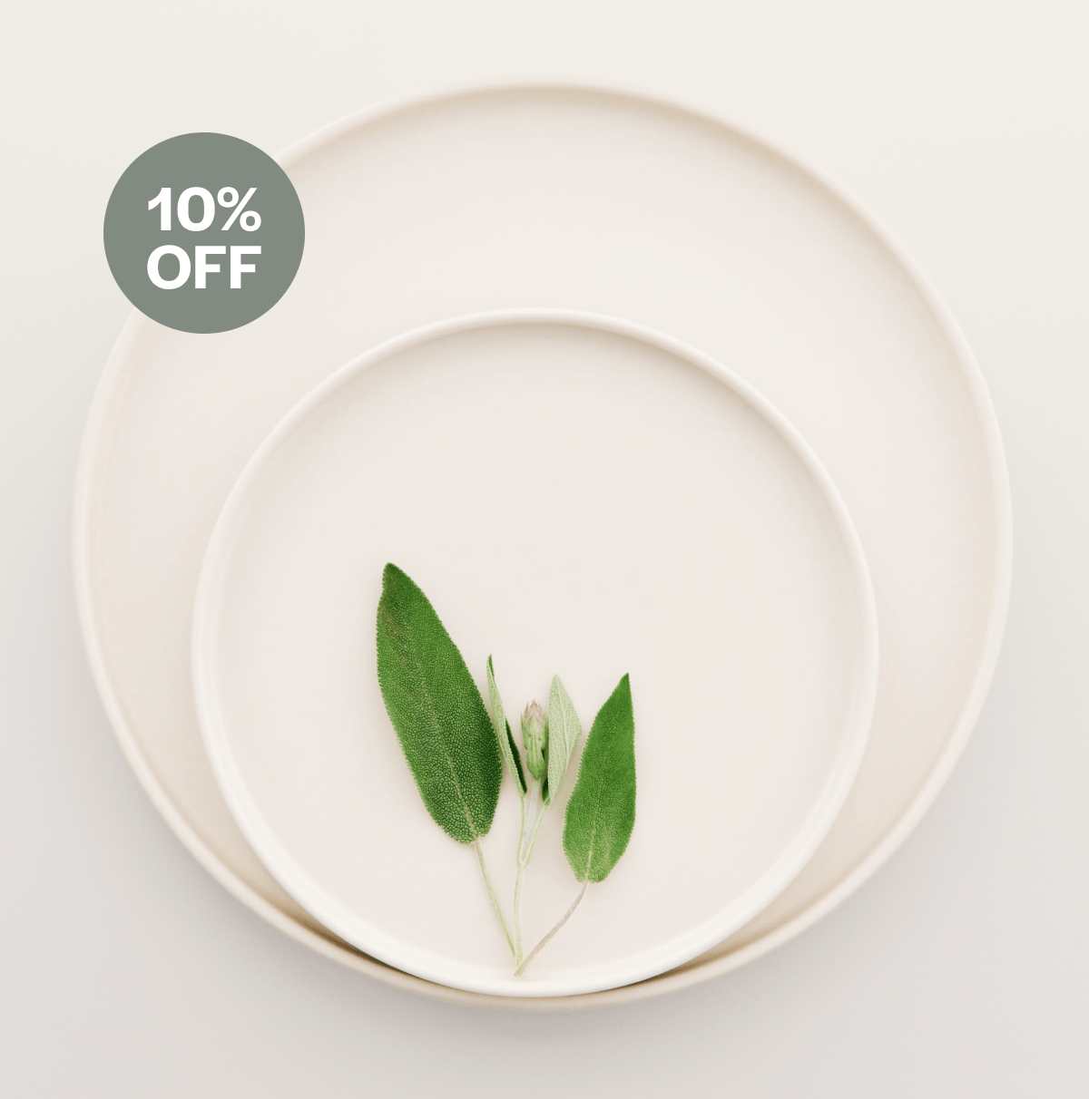 Explore The Sale