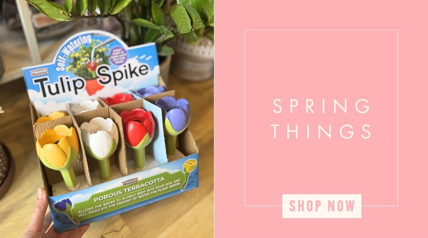 Shop The Spring Collection!