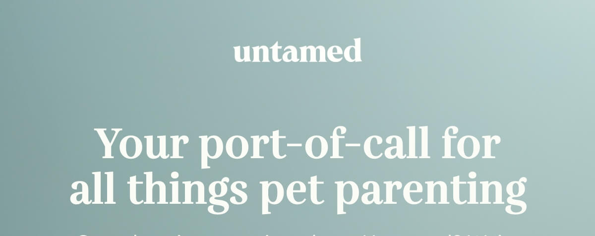 your port-of-call for all things pet parenting
