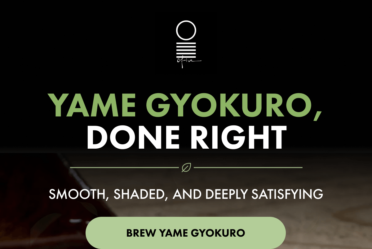 Yame Gyokuro, Done Right Smooth, shaded, and deeply satisfying BREW YAME GYOKURO