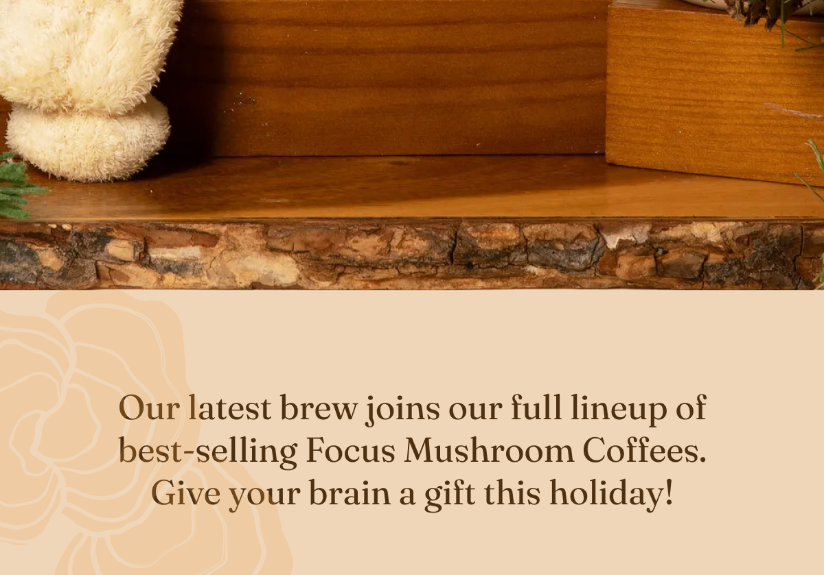 Our latest brew joins our full lineup of best-selling Focus Mushroom Coffees.