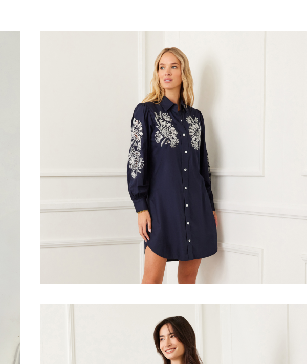 Embroidered Puff Sleeve Shirtdress