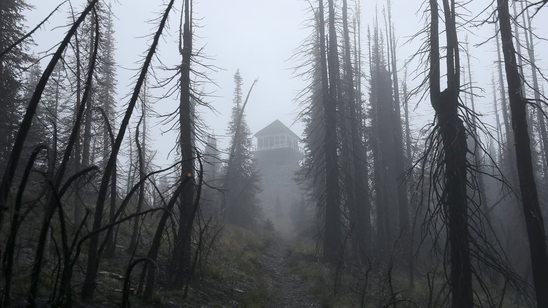 glacier-national-park-mt-brown-trail