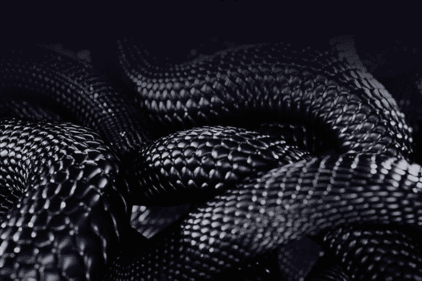 Bring on chills and thrills.