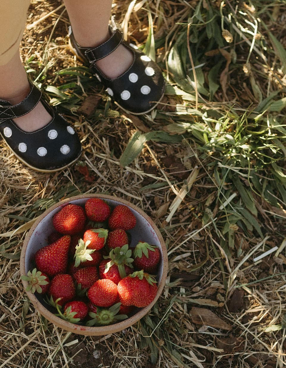 Spring gatherings