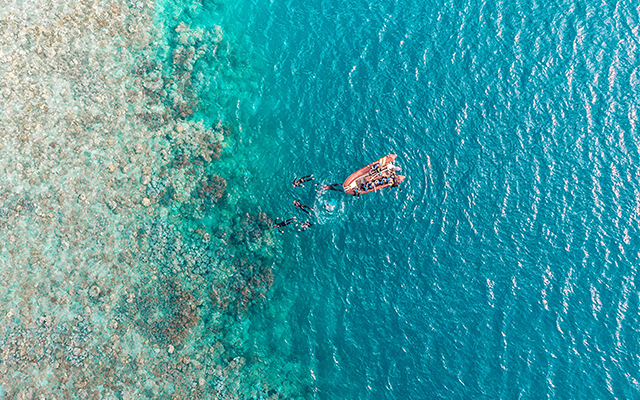 Australia Beaches and Reefs Image