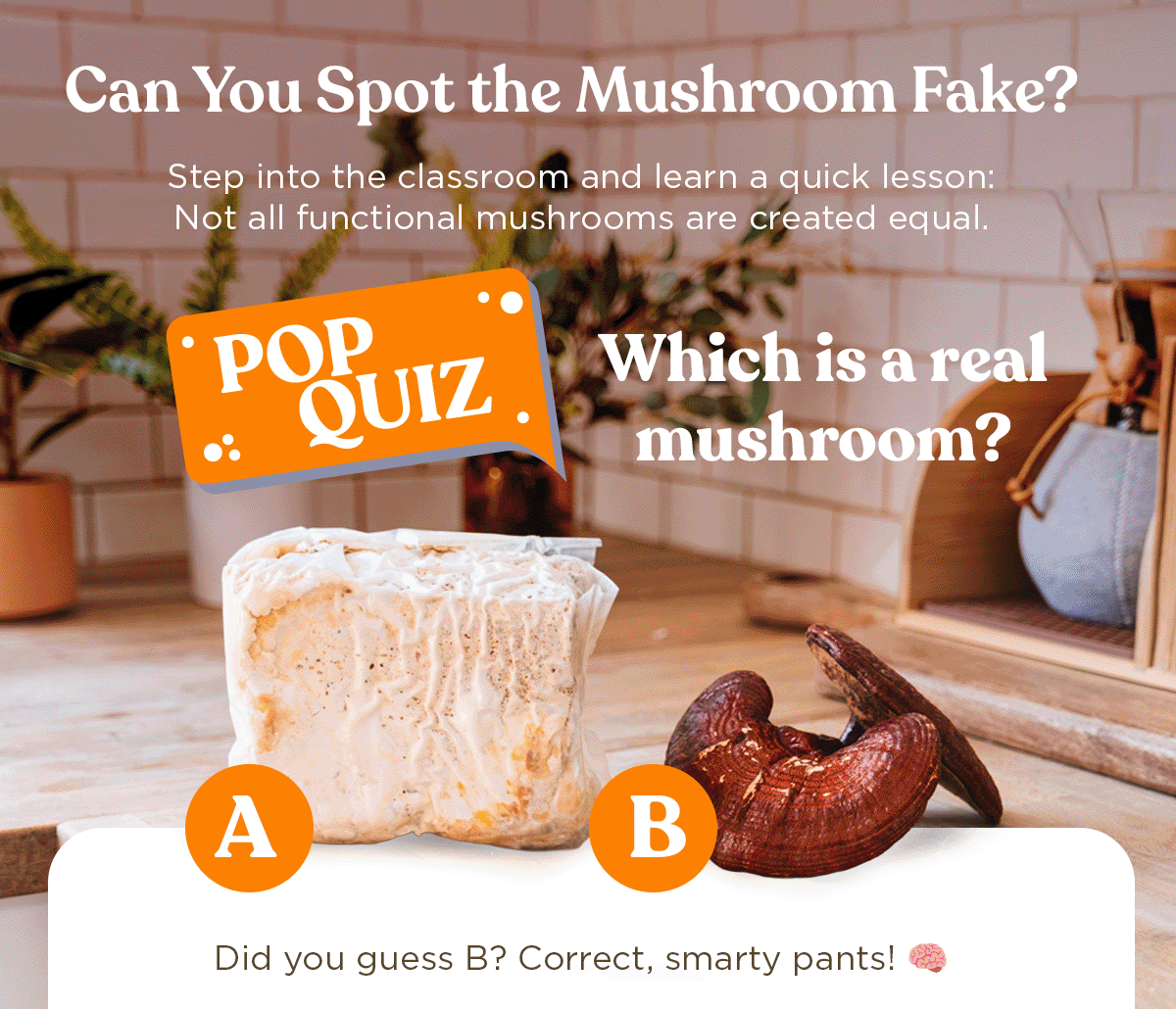 Can You Spot the Mushroom Fake?