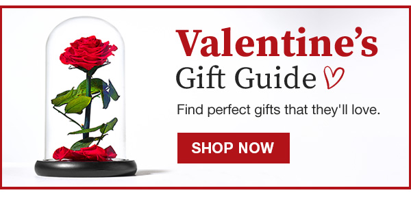 Valentine's Day Gift Guide