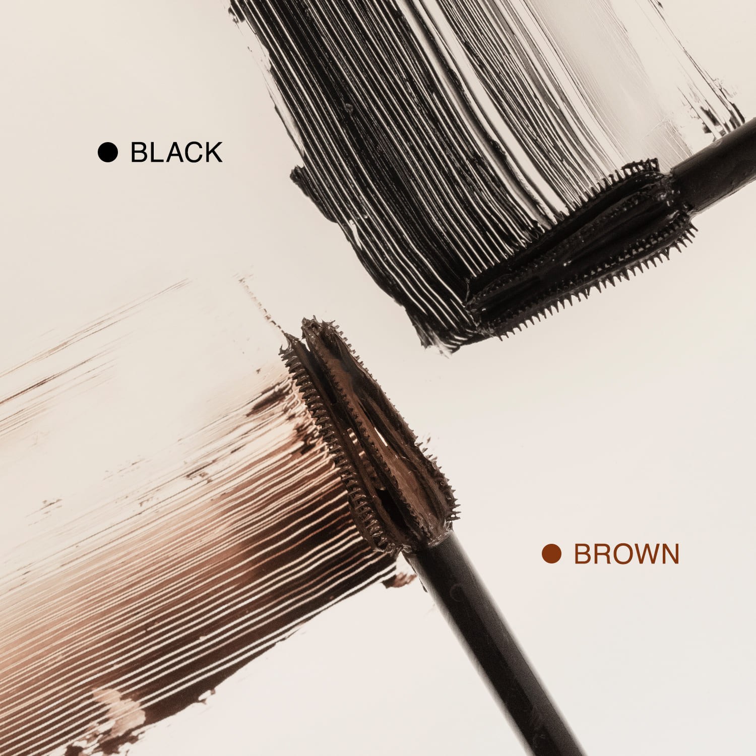 Black & Brown 