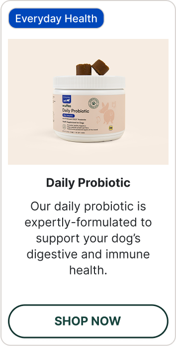 Shop Daily Probiotic
