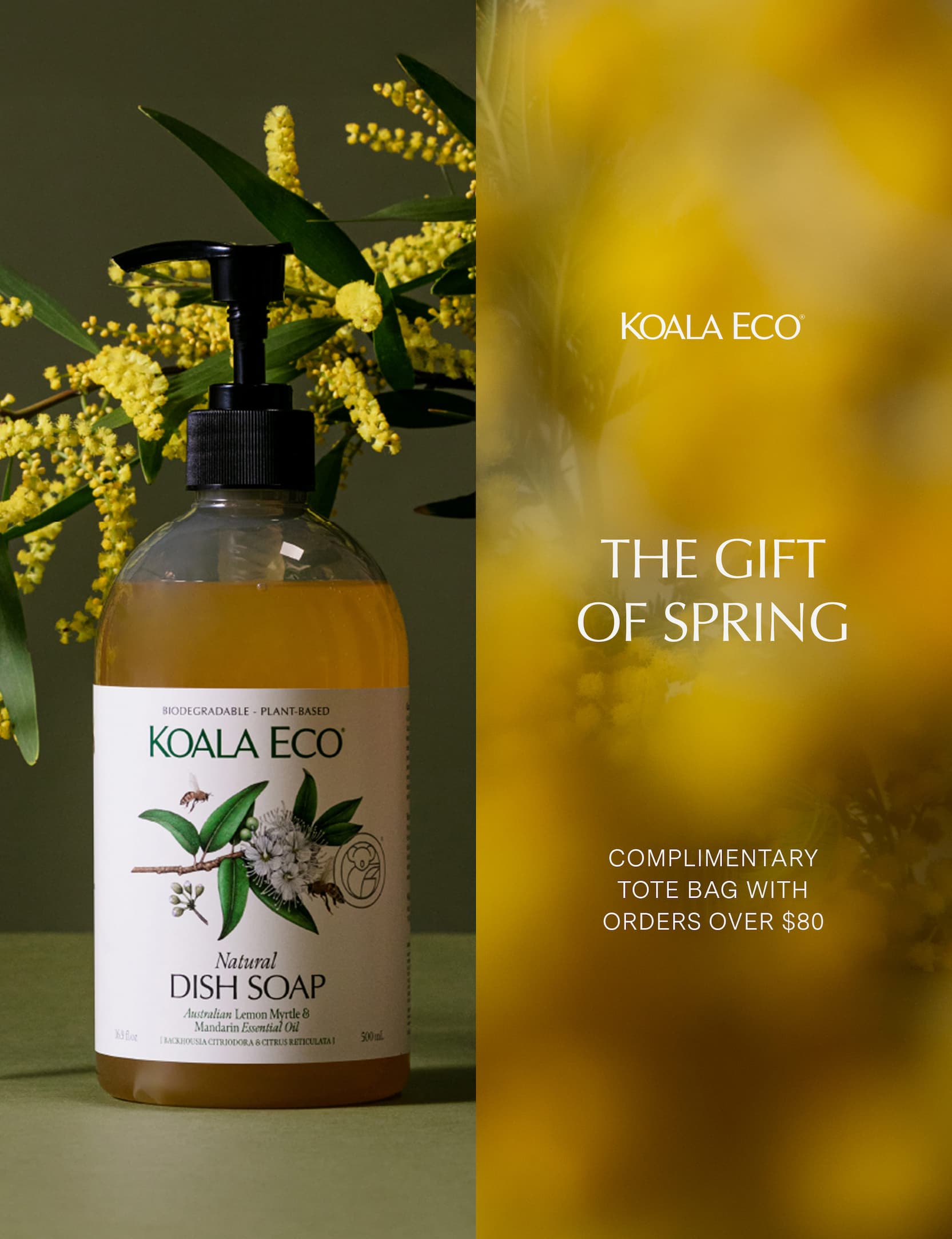 KOALA ECO: The Gift Of Spring