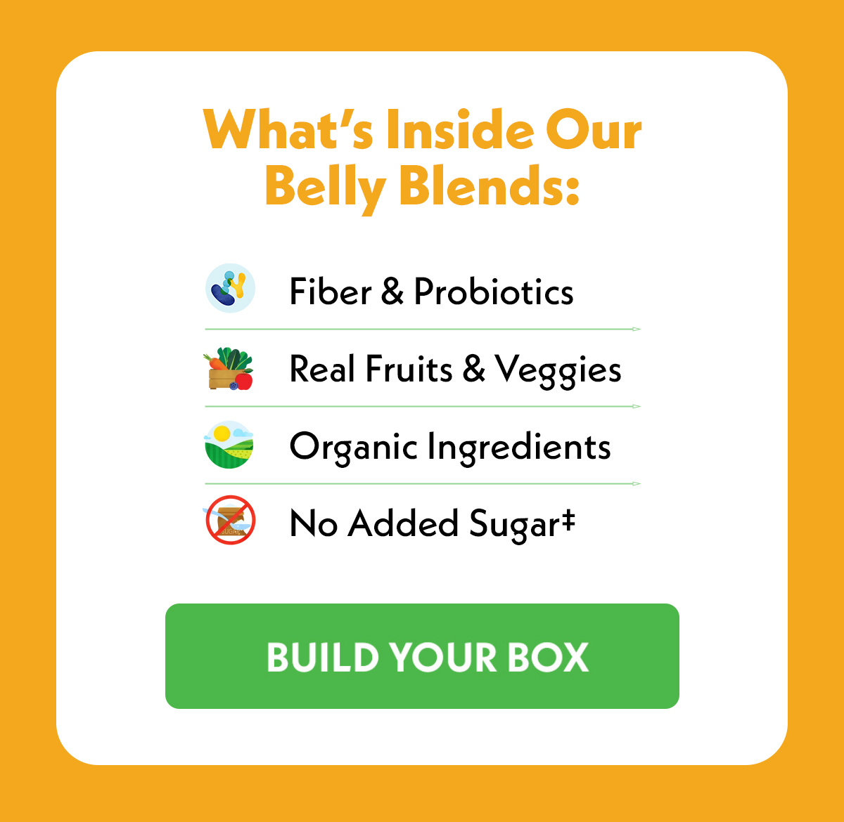 What's Inside Our Belly Blends