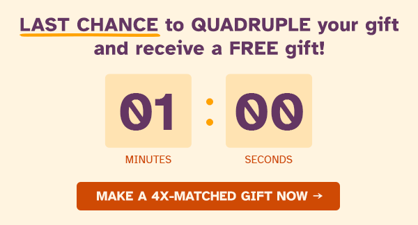 LAST CHANCE to QUADRUPLE your gift and receive a FREE gift!