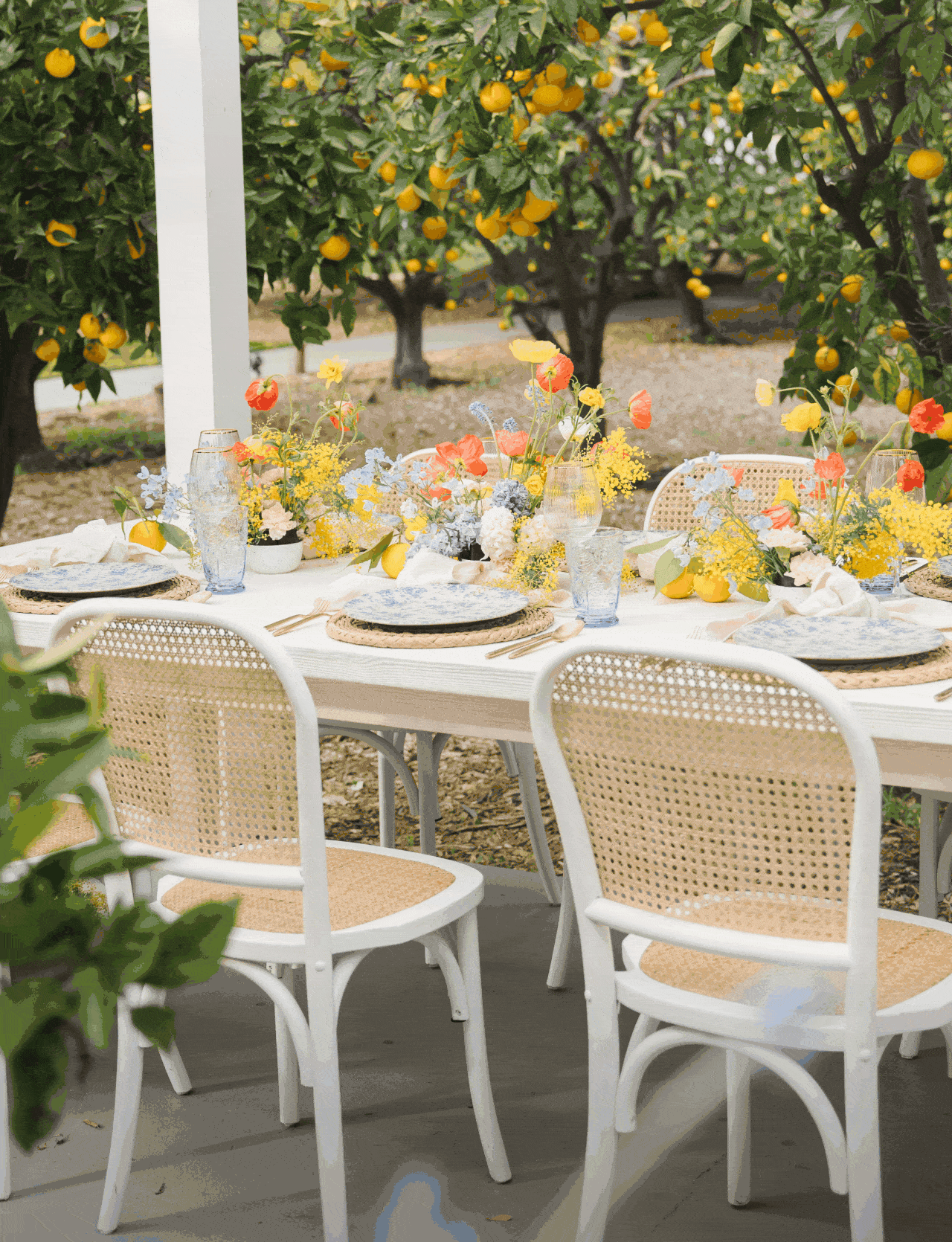 Bridal Shower