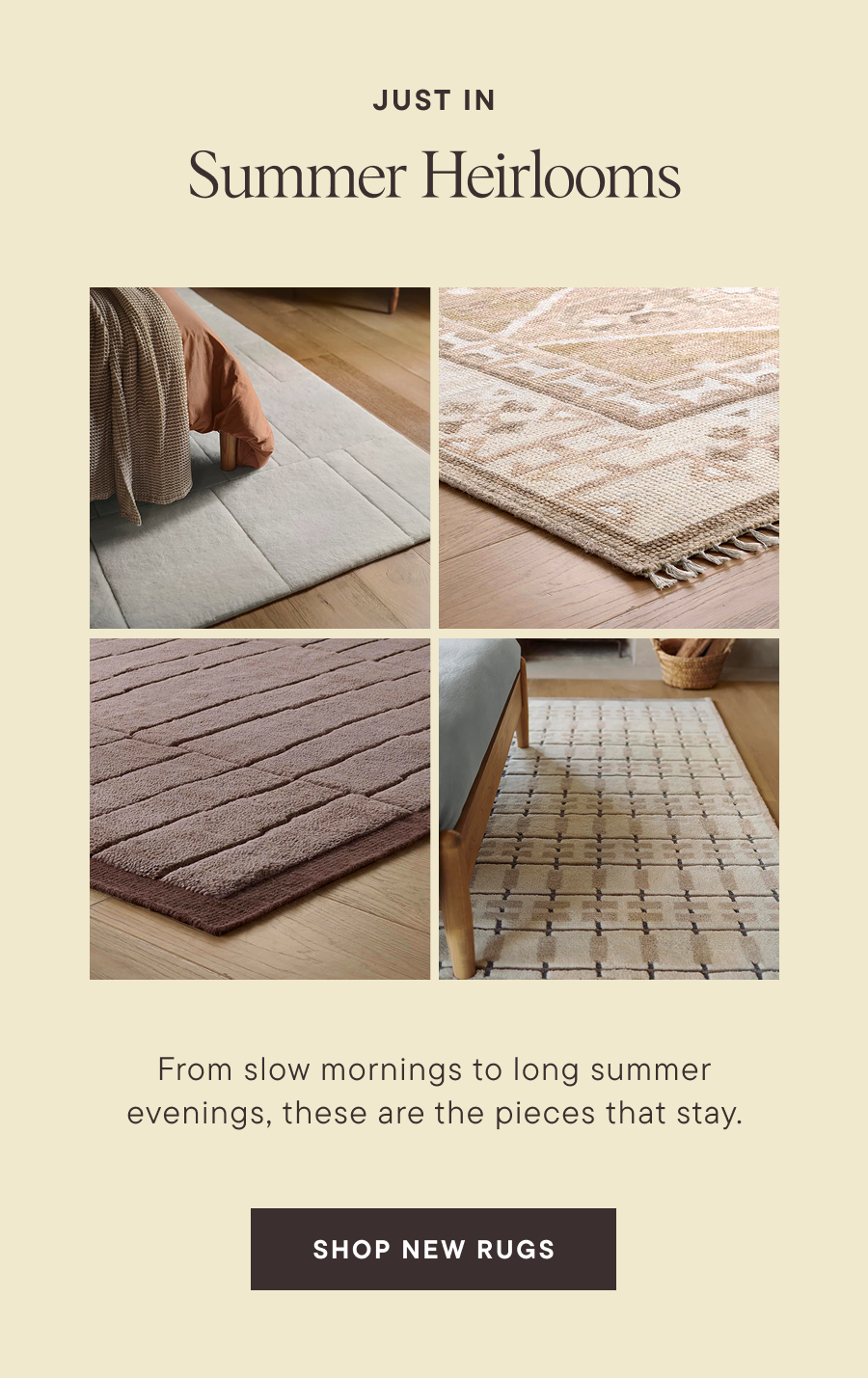 Shop Rugs