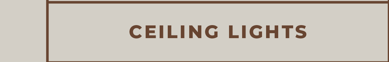[Ceiling Lights]
