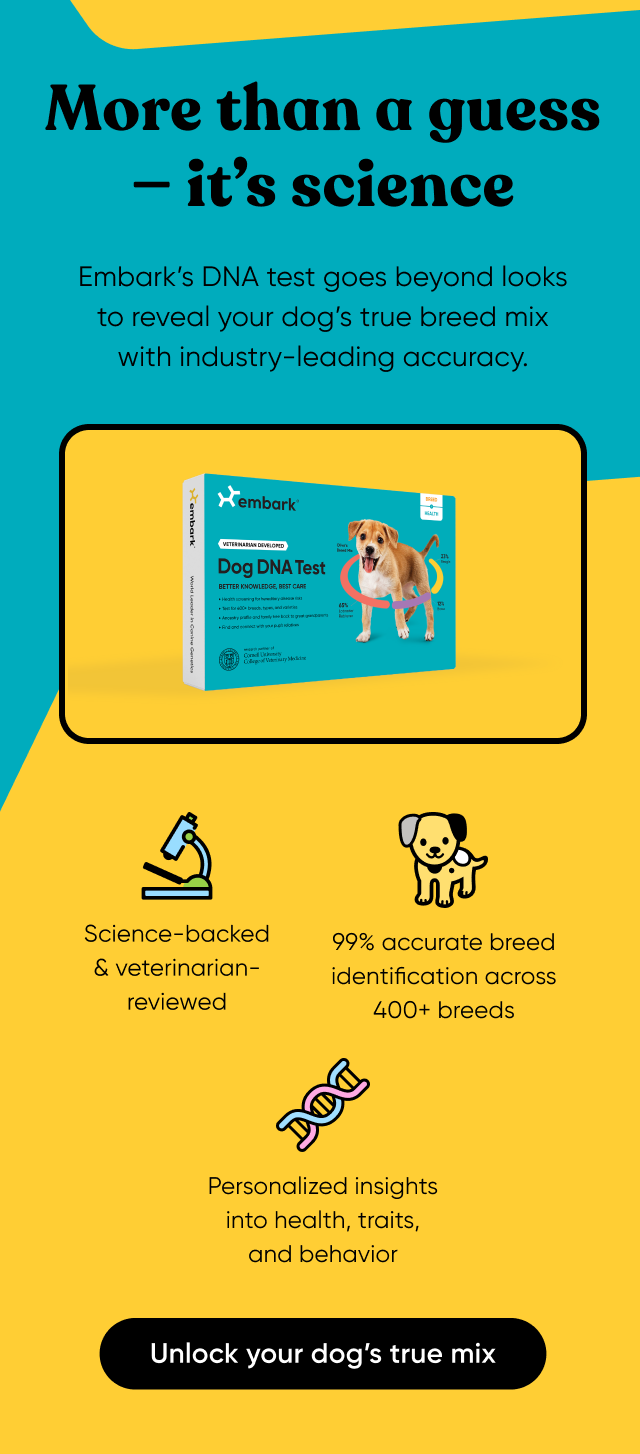 More than a guess—it's science. Embark's DNA test goes beyond looks to reveal your dog's tree breed mix wit industry-leading accuracy. Unlock your dog's true mix.