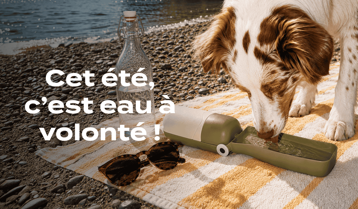 -25% et une gourde de voyage pour chien