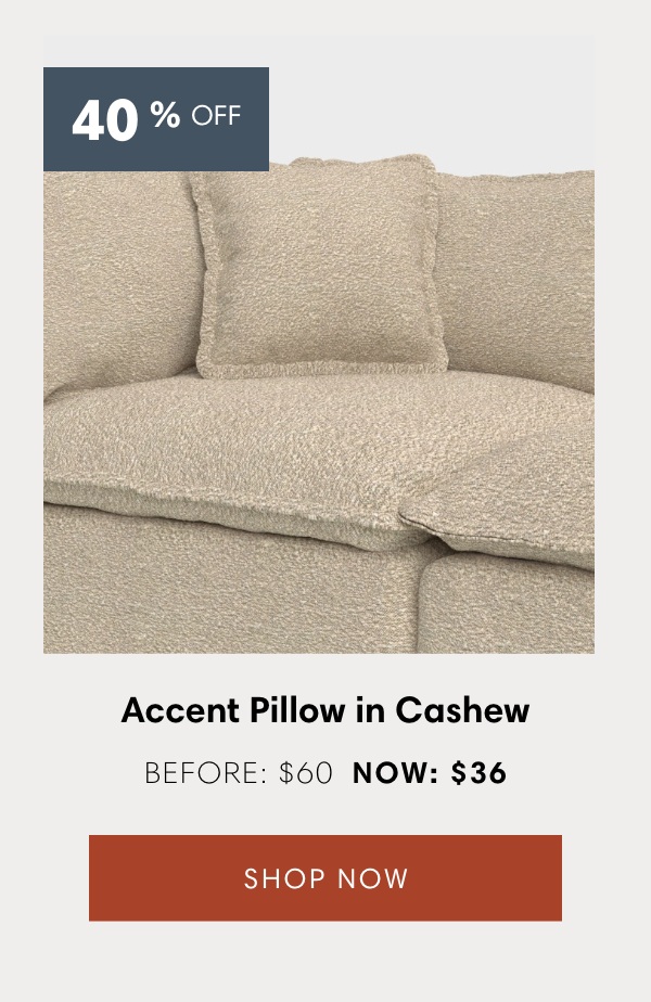 Accent Pillow in Cashew