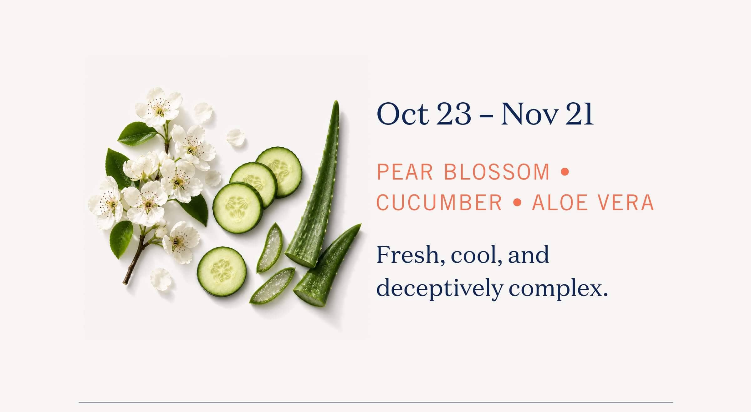 Oct 23 – Nov 21