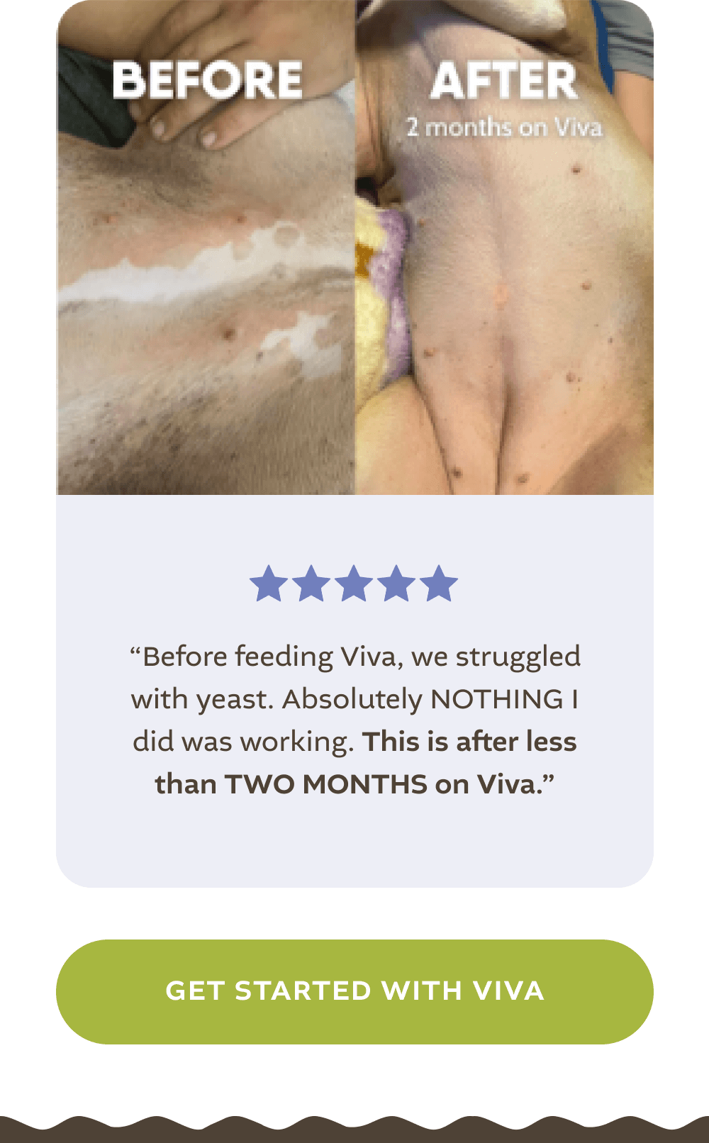 [GET STARTED WITH VIVA]