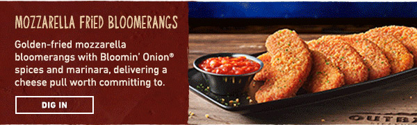 Mozzarella Fried Boomerangs. DIG IN