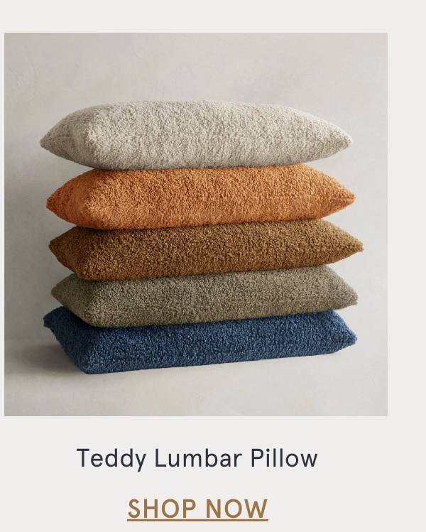 Teddy Lumbar Pillow